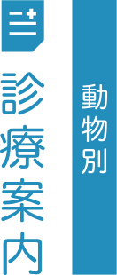 動物別 診療案内
