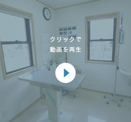 クリックで動画を再生