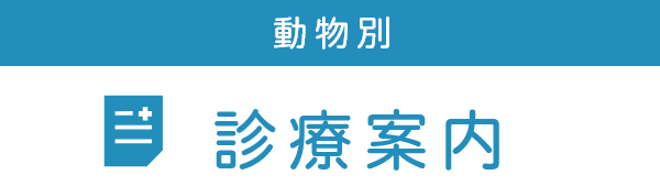 動物別 診療案内